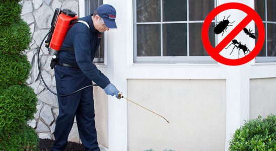 Suluova Kemirgen İlaçlama böcek ilaçlama ve haşere kontrolü — ilaclama-tr.com